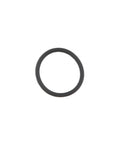 O-Ring Genuine Pai 3895-009