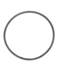 Rectangular Sealing Ring Genuine Pai 3900-029