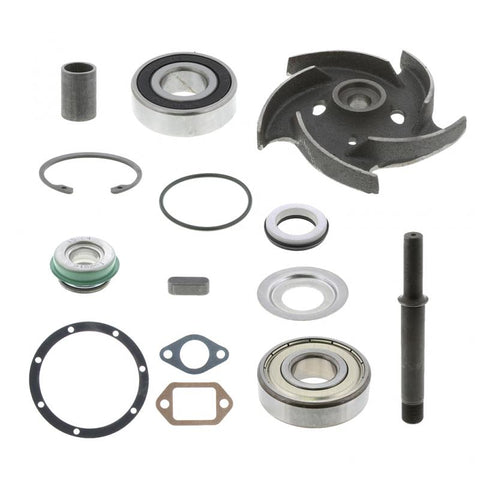 Water Pump Repair Kit Genuine Pai 3500