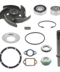 Repair Kit Genuine Pai 3850