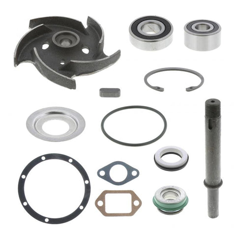 Repair Kit Genuine Pai 3850