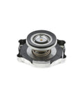 Radiator Cap Genuine Pai 8319