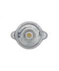 Radiator Cap Genuine Pai 8380