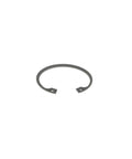 Retaining Ring Genuine Pai 2866