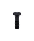 Screw Genuine Pai 8400