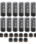 Spring And Seal Kit Genuine Pai 8951