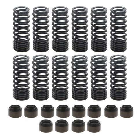 Spring And Seal Kit Genuine Pai 8951