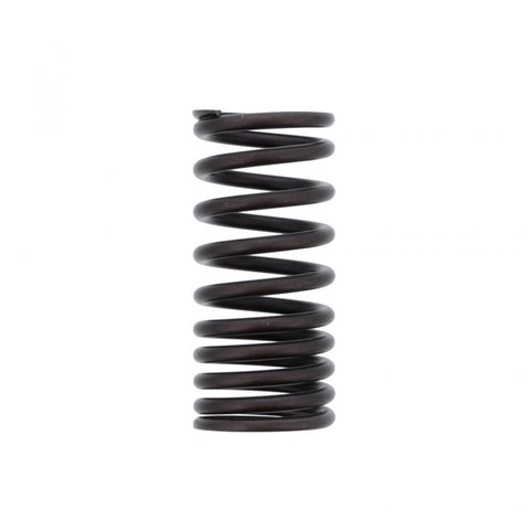 Outer Valve Spring Genuine Pai 8160