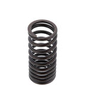 Outer Valve Spring Genuine Pai 8160