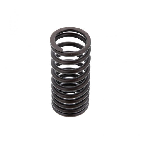 Outer Valve Spring Genuine Pai 8160