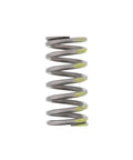 Valve Spring Genuine Pai 8161
