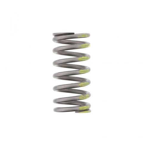 Valve Spring Genuine Pai 8161