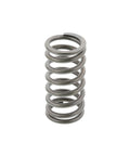 Valve Spring Genuine Pai 8161