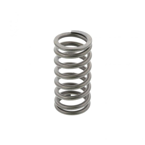 Valve Spring Genuine Pai 8161