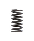 Valve Spring Genuine Pai 8165