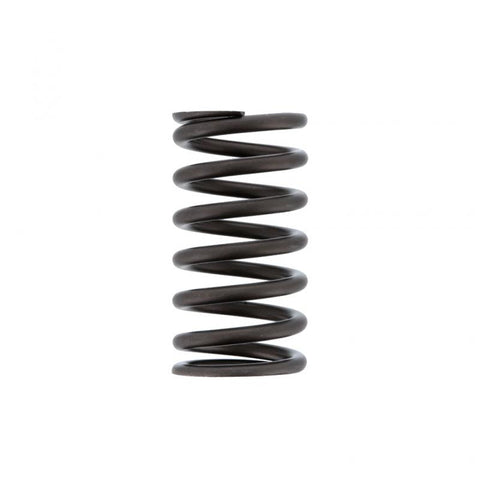 Valve Spring Genuine Pai 8165