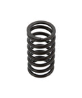 Valve Spring Genuine Pai 8165