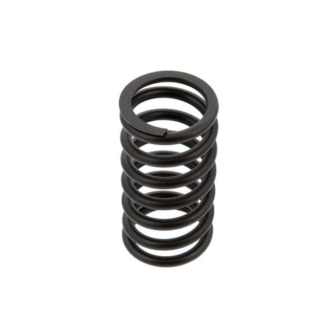 Valve Spring Genuine Pai 8165