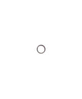 Inlet Spring Genuine Pai 8540