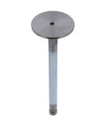 Intake Valve Genuine Pai 8130