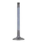 Intake Valve Genuine Pai 8130