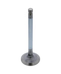 Intake Valve Genuine Pai 8130