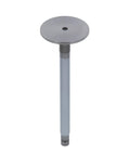 Intake Valve Genuine Pai 8132