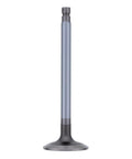 Intake Valve Genuine Pai 8132