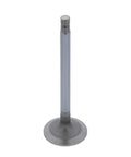 Intake Valve Genuine Pai 8132