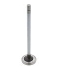 Intake Valve Genuine Pai 8136