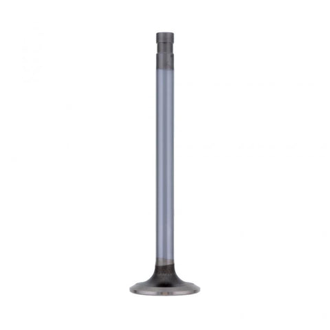 Exhaust Valve Genuine Pai 8140