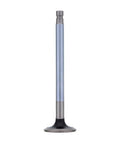 Exhaust Valve Genuine Pai 8141
