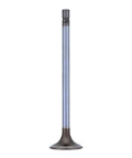 Exhaust Valve Genuine Pai 8149