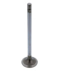 Exhaust Valve Genuine Pai 8149