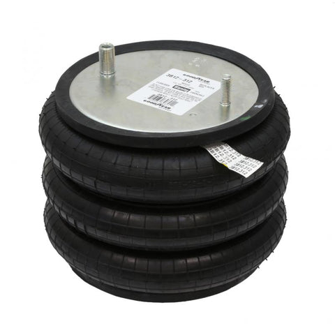 Air Spring Genuine Pai 0674