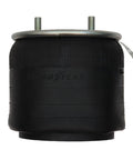 Air Spring Genuine Pai 0756