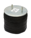 Air Spring Genuine Pai 0756