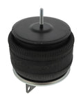 Air Spring Genuine Pai 0763
