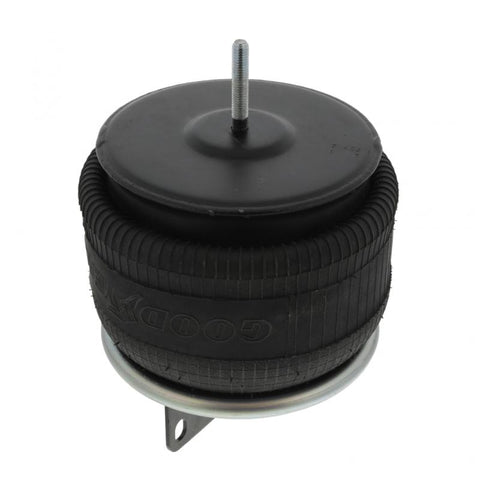 Air Spring Genuine Pai 0763