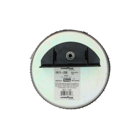 Air Spring Genuine Pai 0763