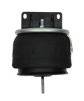 Air Spring Genuine Pai 0763