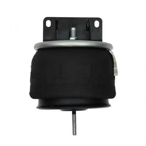 Air Spring Genuine Pai 0763