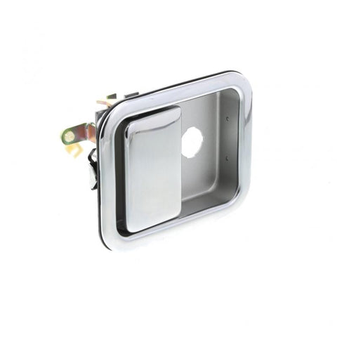 Door Handle Genuine Pai 5696
