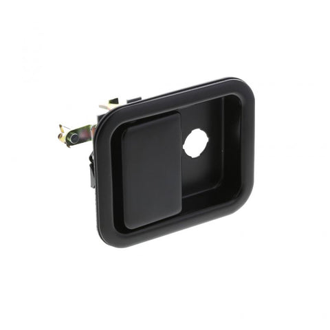 Door Handle Genuine Pai 5713