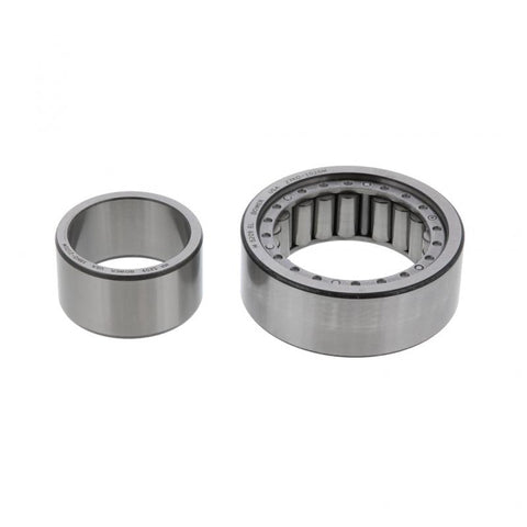 Bearing Genuine Pai 6131