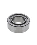 Bearing Genuine Pai 6131