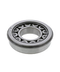 Bearing Genuine Pai 6137