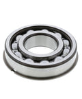 Bearing Genuine Pai 6138