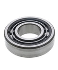 Bearing Genuine Pai 6165
