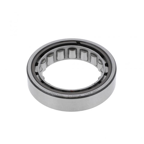 Bearing Genuine Pai 6631